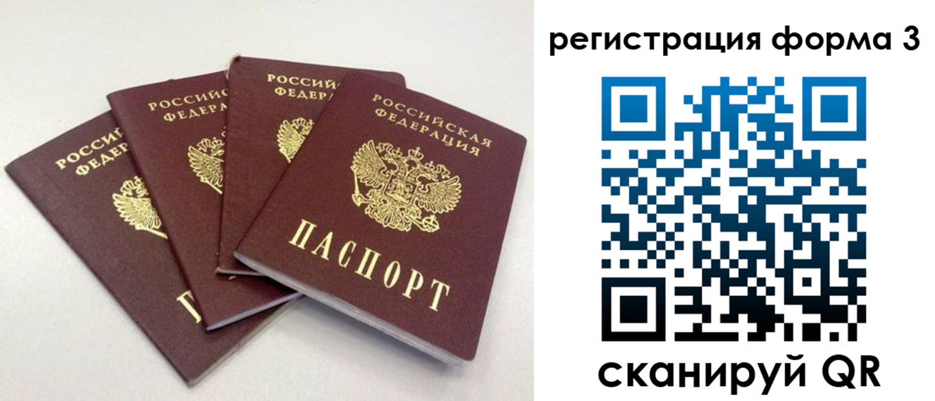 прописка 2025 в Ростове